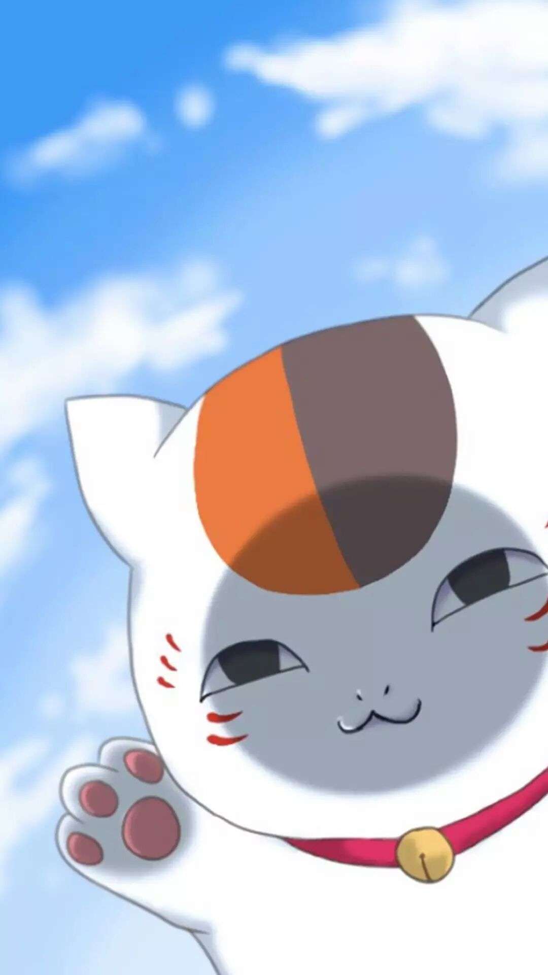 薛定谔的猫儿