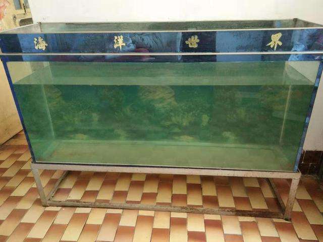 新鱼缸怎么消毒(在养鱼界有两种不同的声音)插图(1) 新鱼缸怎么消毒(在养鱼界有两种不同的声音)插图(1)