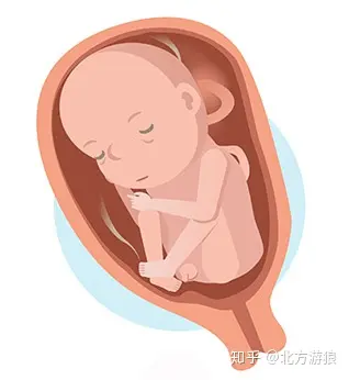 初哆咪科普:婴儿在胎龄时的发育!在母亲子宫中有9个月的宝宝了!