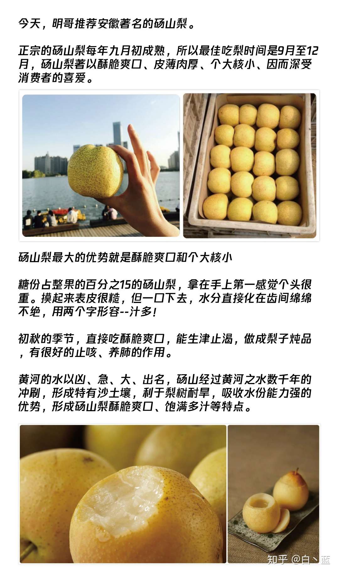 黄河边边一道梨味 知乎