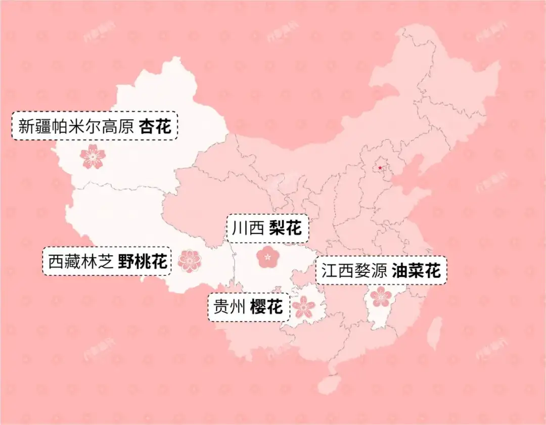 3月最佳旅行地 中国最美的5个春天都在这里 知乎