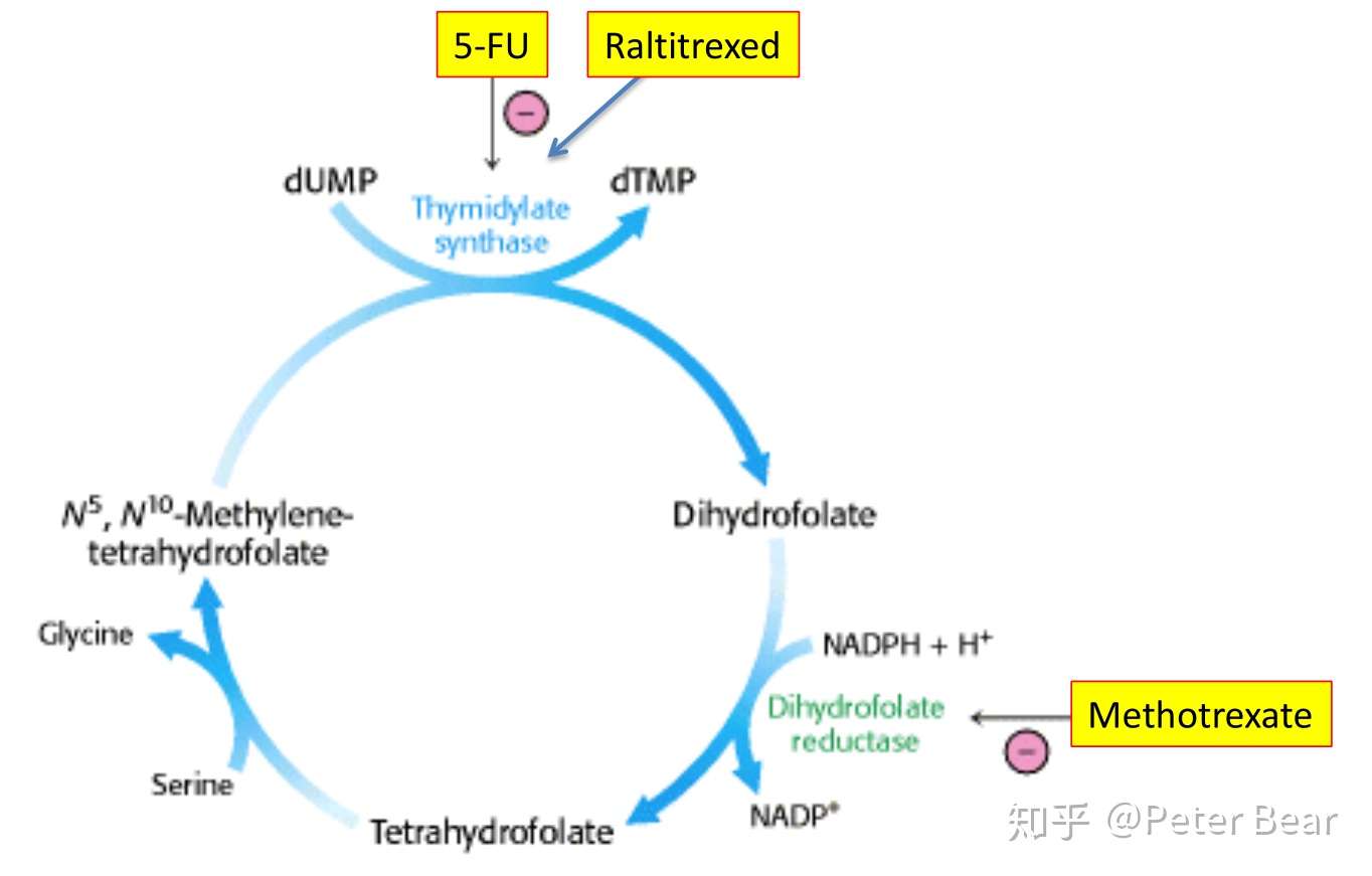 知乎专栏