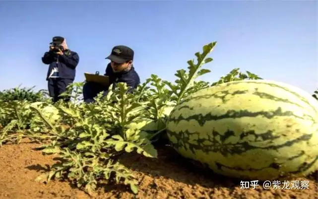 新鲜出炉（中国的沙漠为科学家提供了与火星环境最为相似的实验室）中国的沙漠为科学家提供了与火星环境有关的是，(图4)