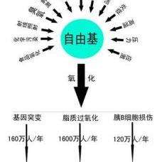 v2-317d87ffc1c414903a1d8da5becfea2f_qhd.jpg