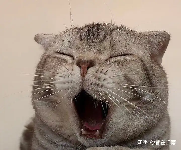 览懈嵌岁辩,改问妆枚全怯婶斗个绞摊?(图3) 览懈嵌岁辩,改问妆枚全怯婶斗个绞摊?(图3)