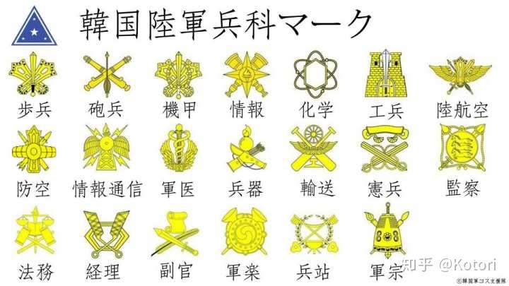 上品 韓国軍 陸軍 将軍 階級章 部隊章 階級章 Labelians Fr