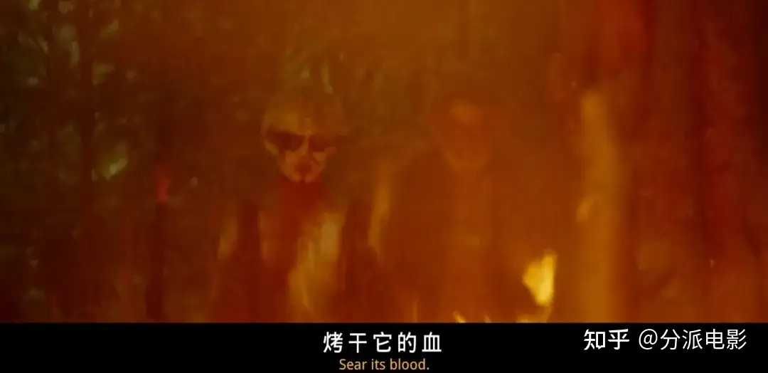 看完BBC这部新剧《蝇王》又睡不着了！