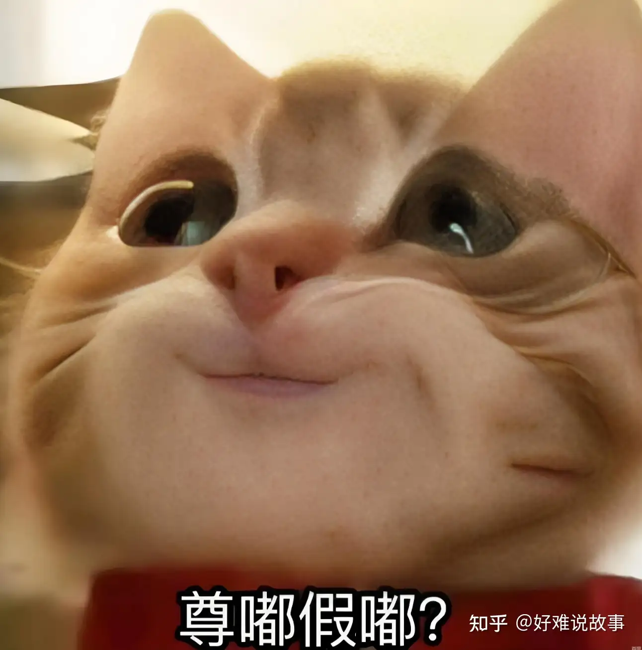 为什么很多网文作者都非常自信，认为AI在创作领域无法取代自己？