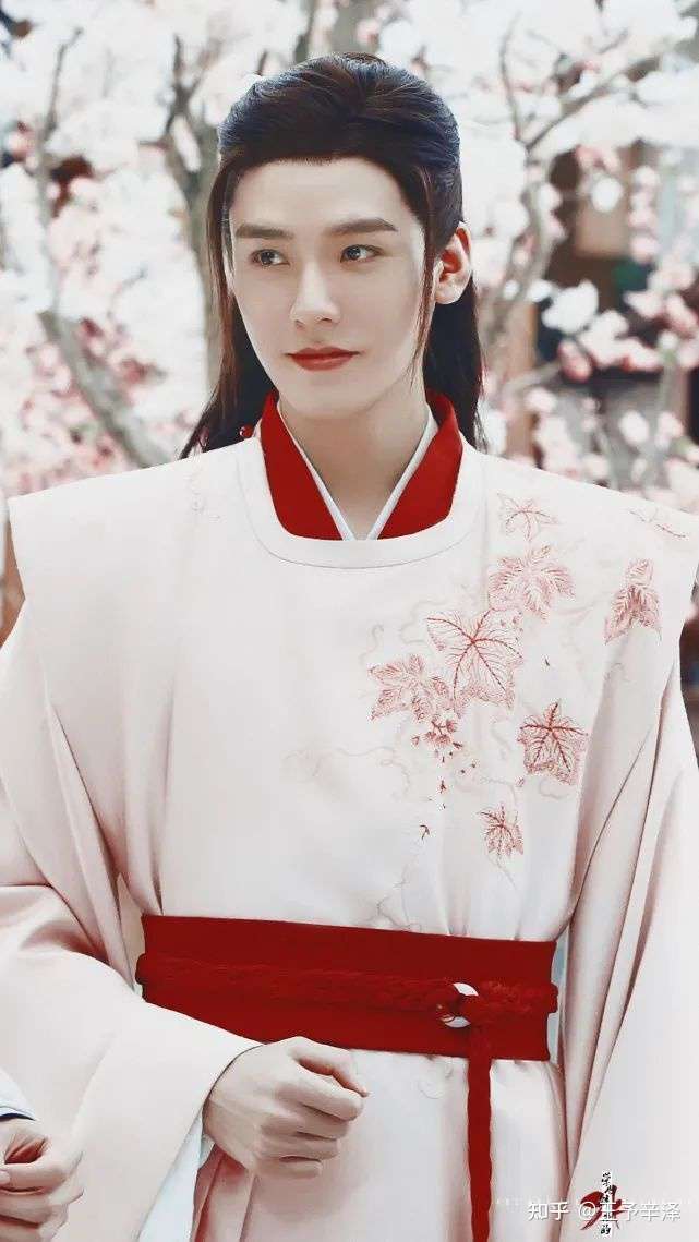 单看颜值龚俊肖战杨洋吴亦凡那个更帅些?