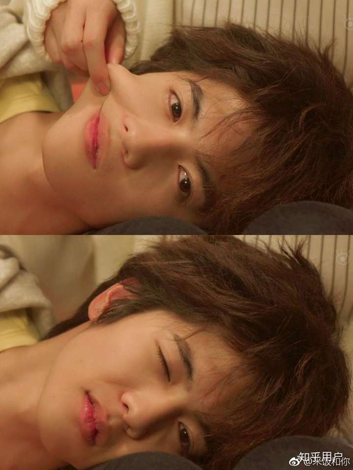 哈哈哈哈哈哈 宠物情人最戳我心的片段  工作累了回家就陷进小奶狗怀