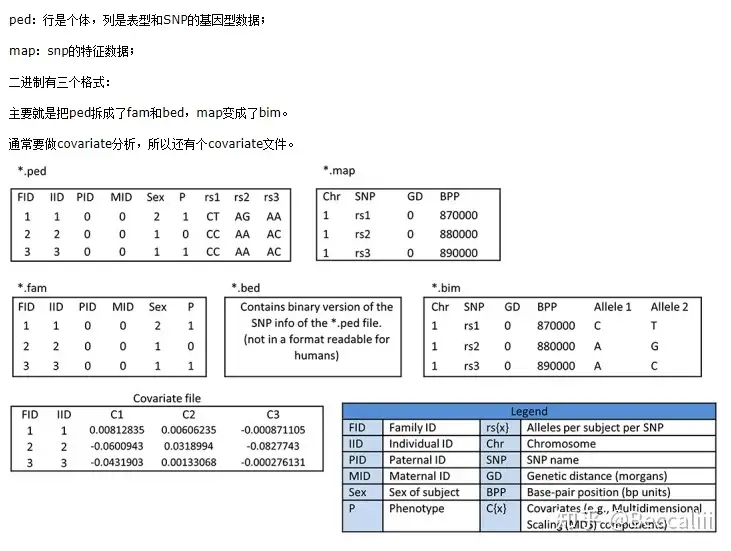 GWAS & Mendelian Randomization - Yuze's Blog