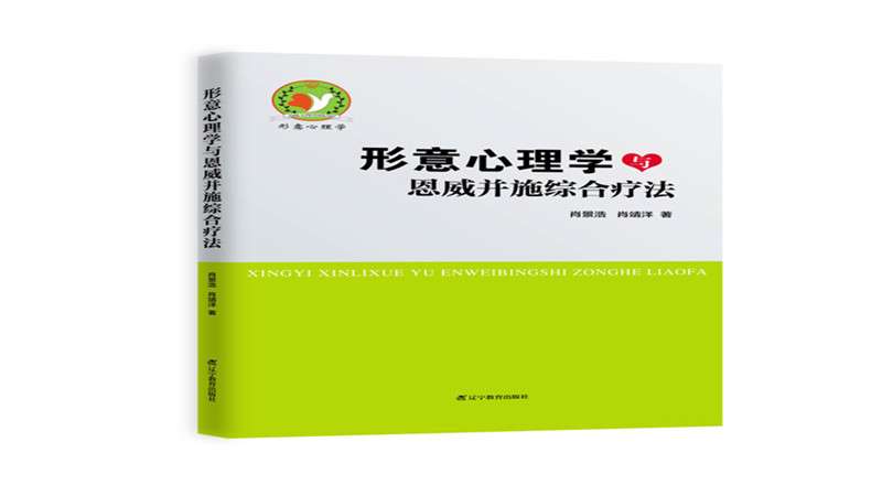 心理治疗心理咨询心理学的书沈阳形意心理咨询中心形意心理学与恩威并施综合疗法 知乎