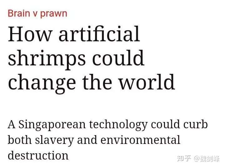 画像prawn英文 魚の画像は無料