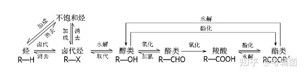 高考化学 | 必备有机知识点总结！附：常见有机方程式！