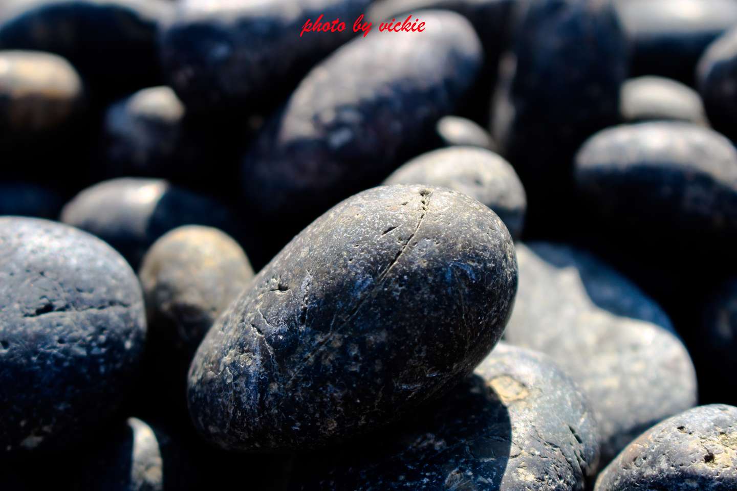 保持单身是一种态度 知乎