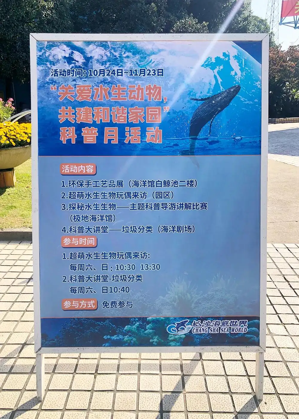 保护水生动物 你我一起行动 知乎