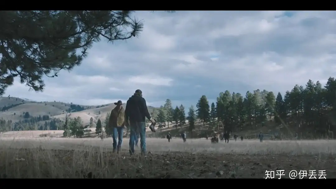 奇跡の石 医王石 A-0173