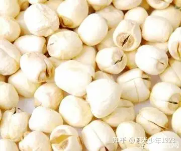 莲子的好处（新鲜莲子的食用价值）