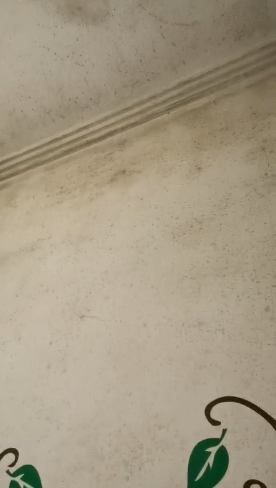 墙面发霉翻新,需要铲除原本乳胶漆吗?