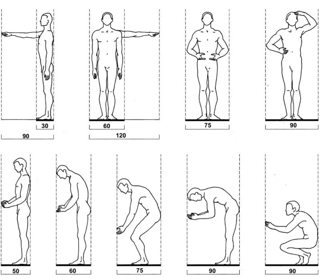 室内设计中的人体工程学大概有哪些？ - 知乎