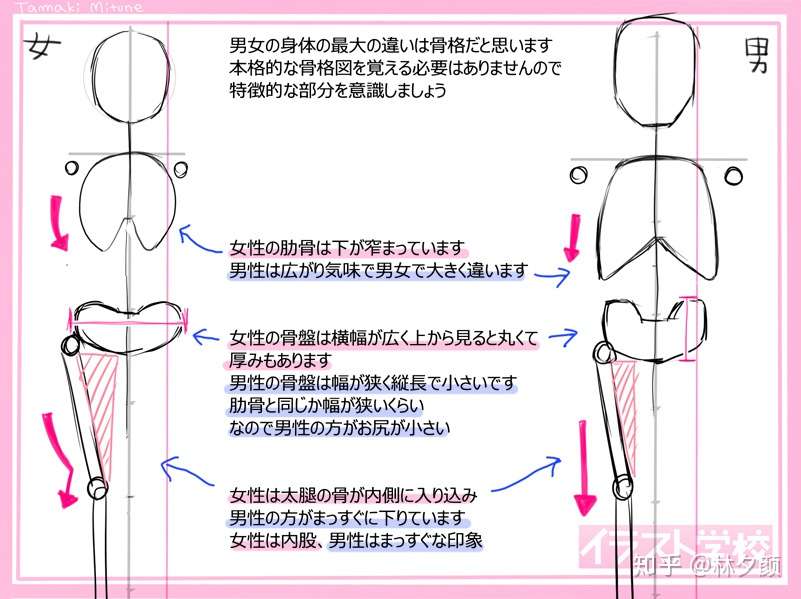 动漫男女的不同绘画表现 画不好男女的你 可以看起来了 知乎