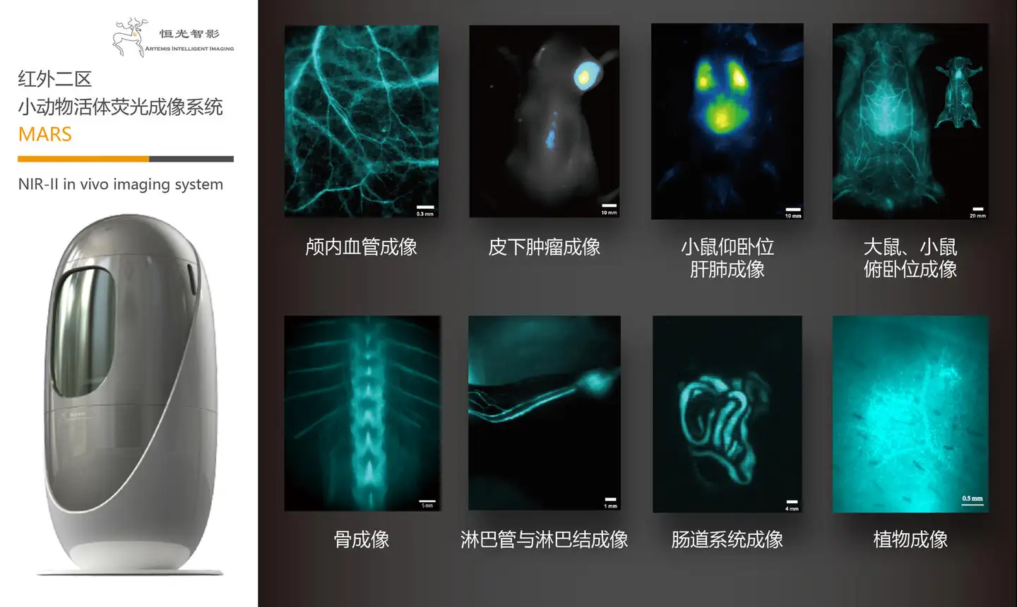 恒光讲堂｜NIR-II 发光的AIEgen用于单激光激活的光动力-光热治疗- 知乎