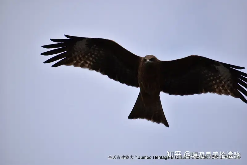 第1048回：妙心寺派龙安寺塔，真言宗御室仁和寺- 知乎