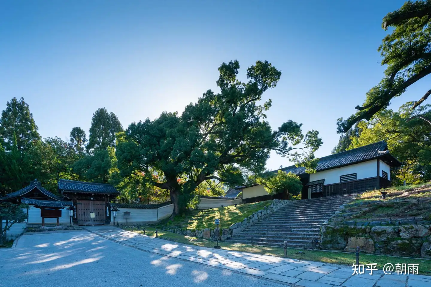 02 京都·青莲院（上） - 知乎