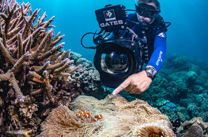 v2-384bdef581675ba3919003544f797af9_720w.jpg?source=d1c2d5a6