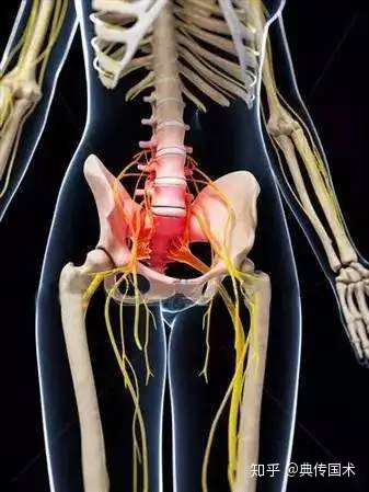 太极拳 松腰开胯-"腰与胯"