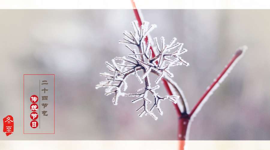 茶叶拼配 18 圣诞节玫瑰花 冬至如何亲手调杯玫瑰红茶泡给他 知乎