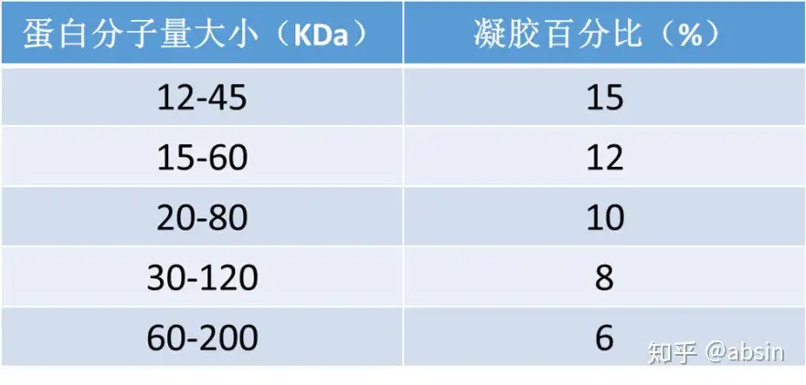 Absin彩色PAGE快速凝胶试剂盒答疑，导师再也不担心我的WB制胶啦！ - 知乎