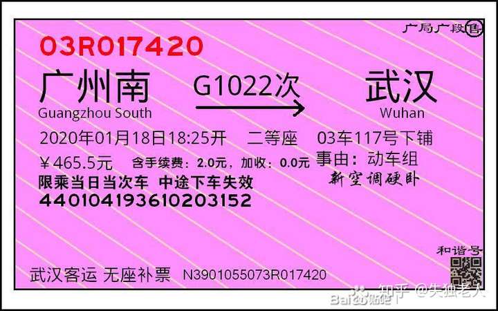 我看钟南山的车票