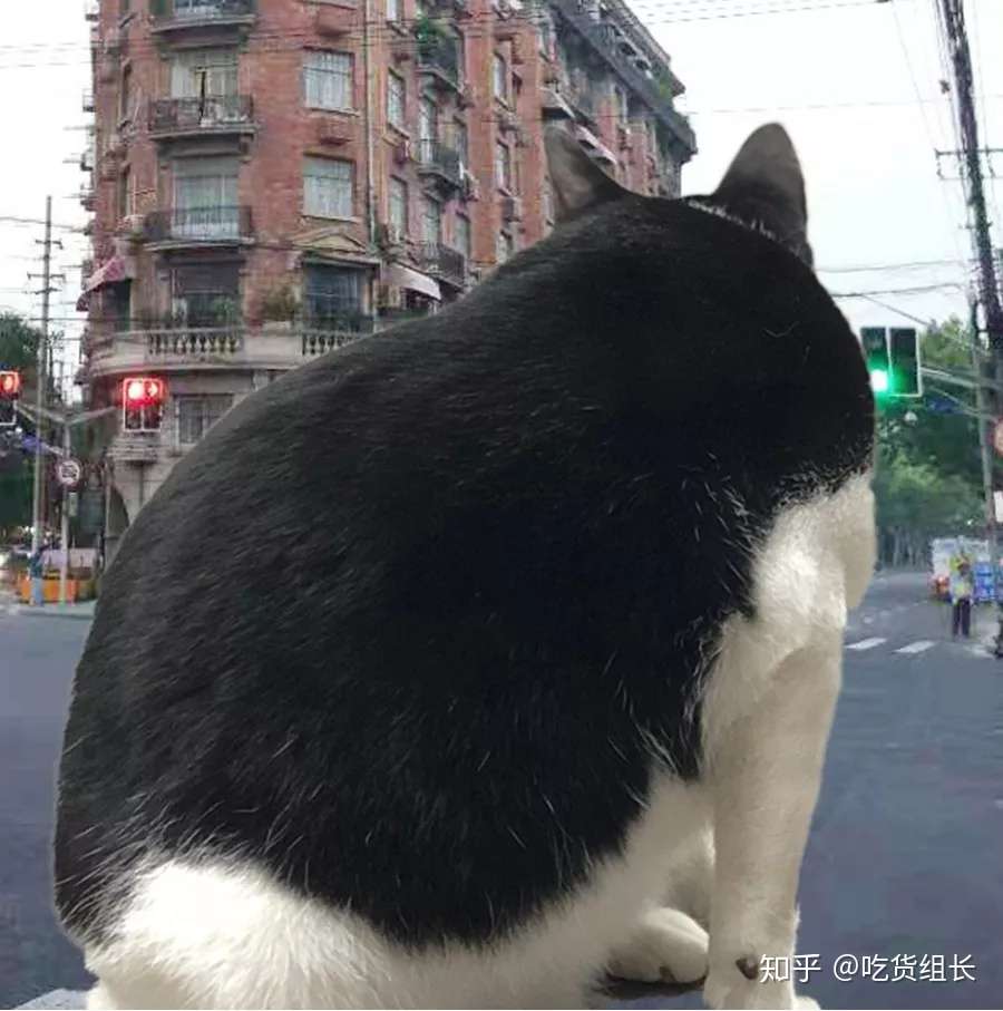 低卡零食指南 我是如何从110斤瘦到130斤的 知乎