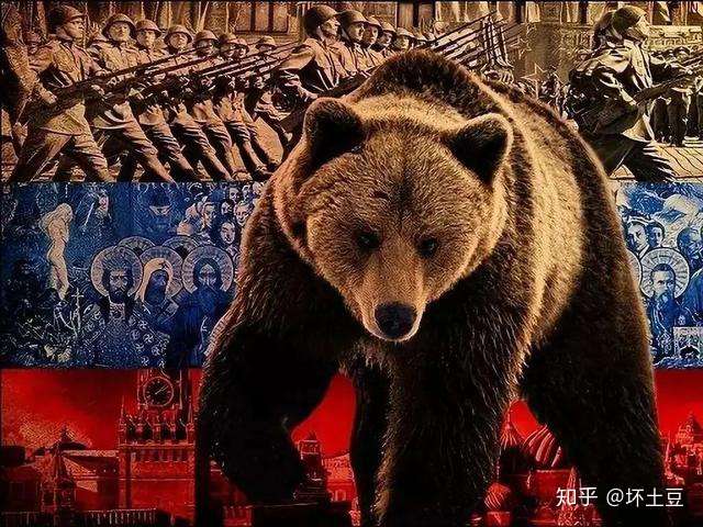 什么样的毛熊才是好毛熊