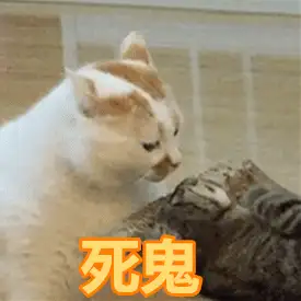 275_275gif 动态图 动图