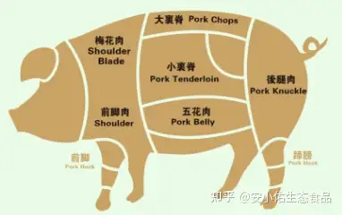 猪肉几号肉图解图片