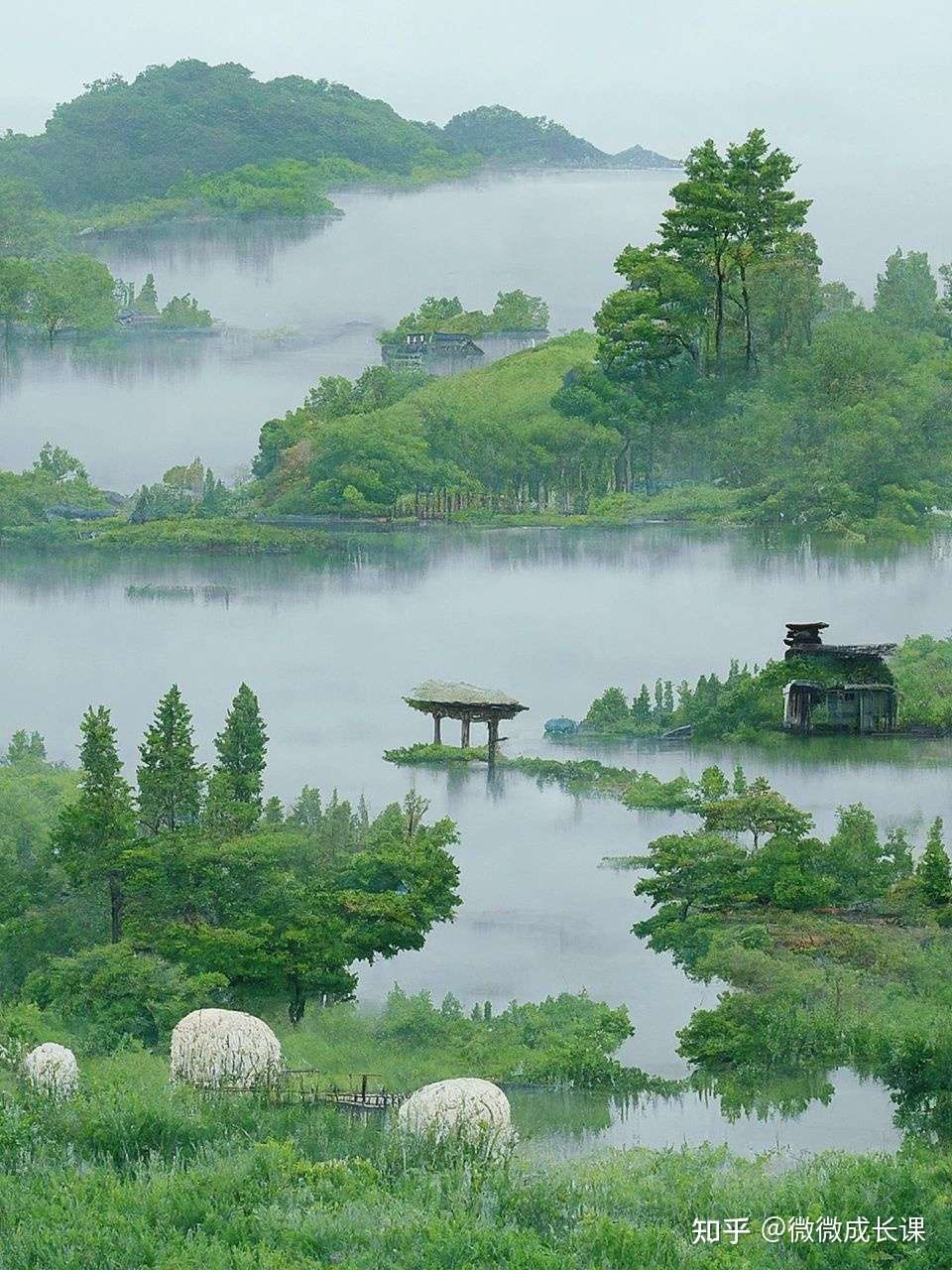 微微成长课 的想法: 国风田园仙境系列|每一张都好疗愈心灵,… - 知乎