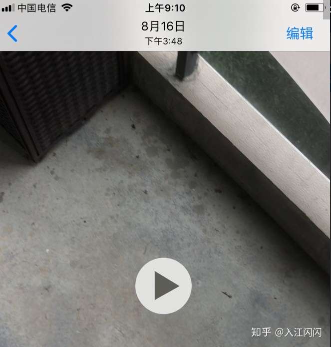 入江闪闪被拘留前的12个小时 到底发生了什么 知乎