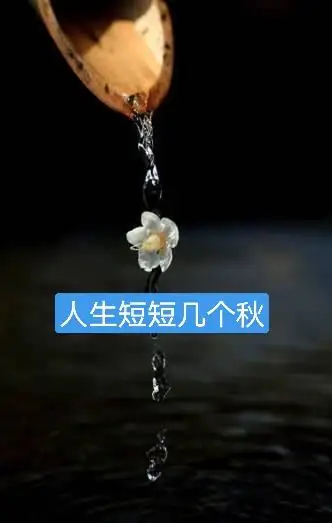 人生短短几个秋