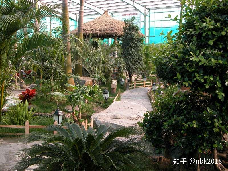 生态温室 温室餐厅园林植物景观设计 知乎