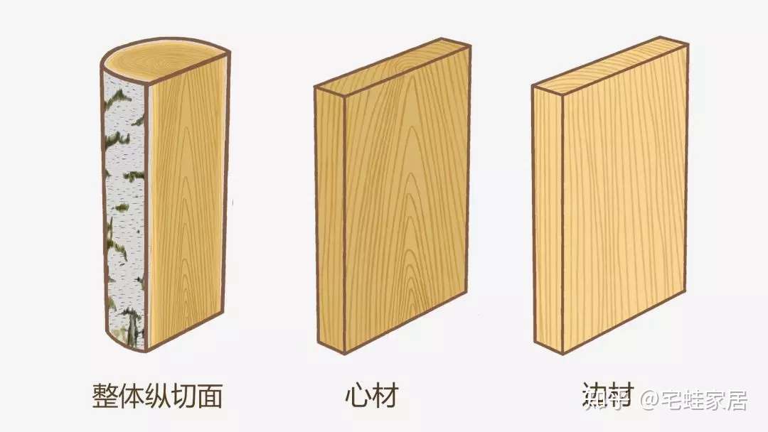 简单易懂 常见12种家具木材的知识点 知乎