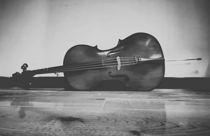 更新一张琴的照片