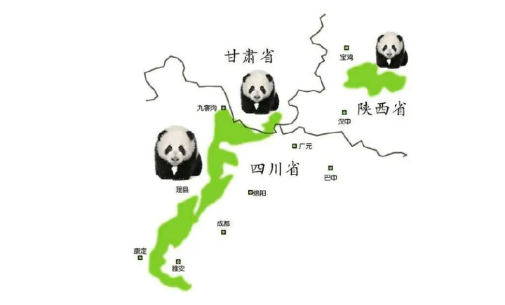 大熊猫生活在什么地方（大熊猫的主要栖息地在哪里）