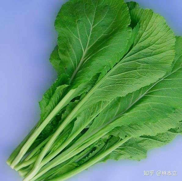 春菜和生菜是一样的吗