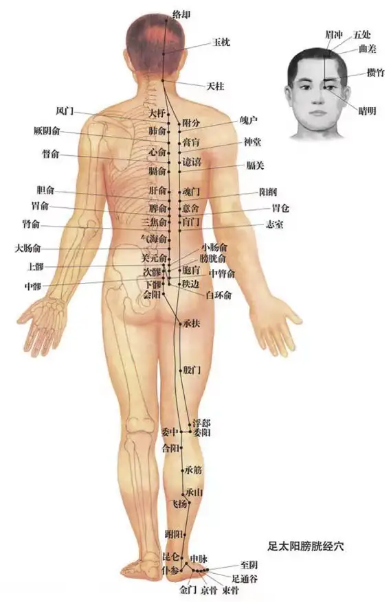 奔走相告(春天养背的重要性)春季养背2023已更新(最新消息)-第4张图片-鲸幼网 奔走相告(春天养背的重要性)春季养背2023已更新(最新消息)-第4张图片-鲸幼网
