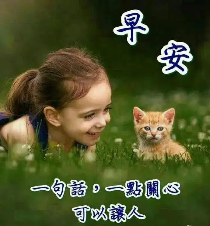早晨好问候语录暖心句子送给你，清晨慰问朋友的早上好祝福句子（早上问候朋友的祝福语）
