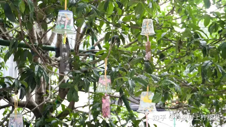 【活力校园】手绘风铃添彩 心融美育校园 | 塘栖校区组织开展手绘风铃活动(图13)