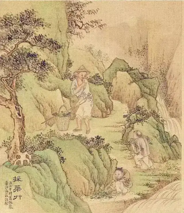 二十四节气之 — 风气 | 芒种