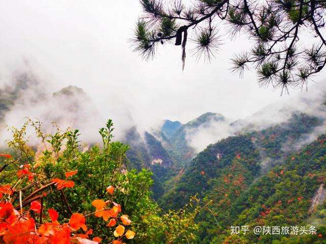 秋赏红叶正当时 你一定会被秦岭的美景所震撼 为商洛美而停留 知乎